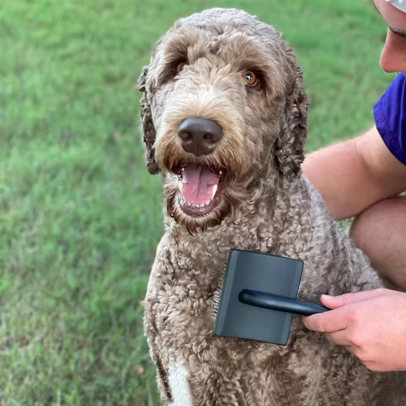Dog Slicker Brush for Doodles