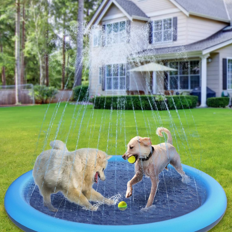 Pet Swimming Pool
