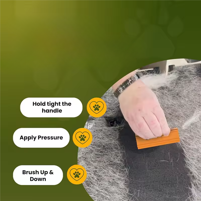 New Pet Hair Removal Tool