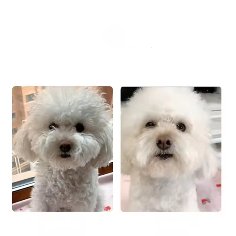 Furry Pet Grooming Dryer Tool