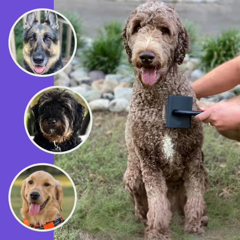 Dog Slicker Brush for Doodles