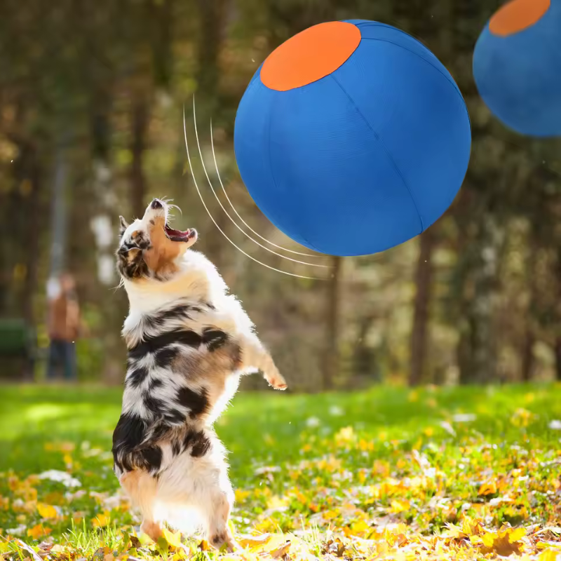 Dog Toy Inflatable Big Ball