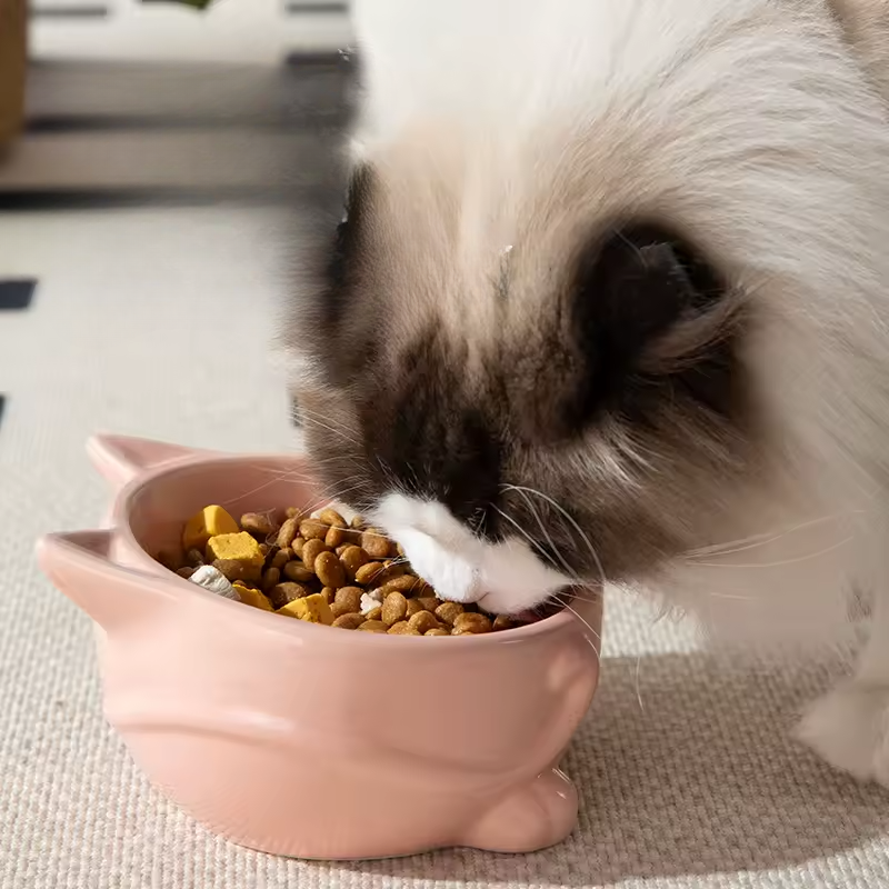 Ceramic Cat Bowl Cervical High Footed Dog Bowl