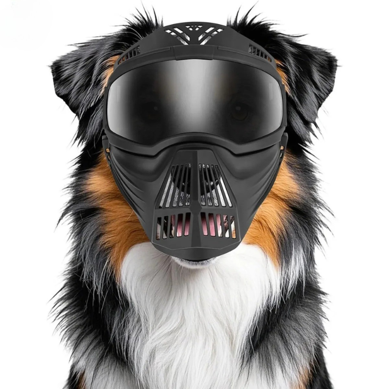 Dog Goggles for Large Breeds