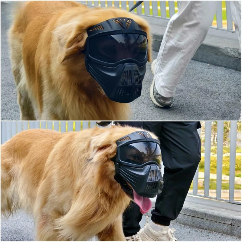Dog Goggles for Large Breeds