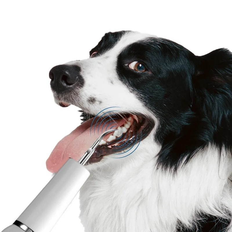 Ultrasonic Toothbrush Dog Calculus Remover