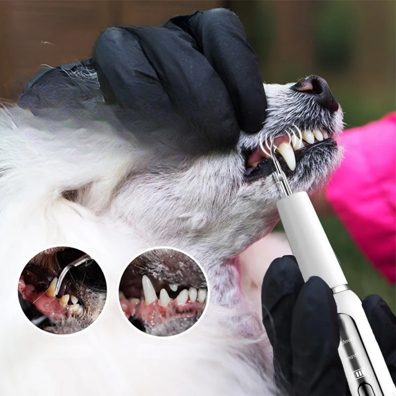 Ultrasonic Toothbrush Dog Calculus Remover