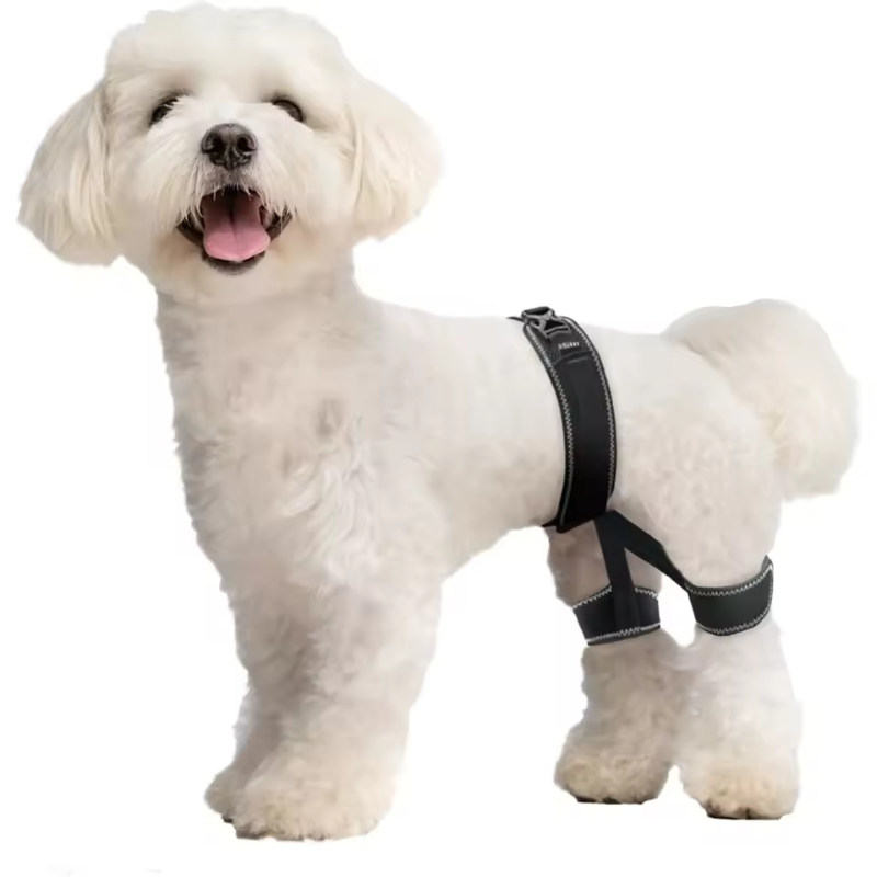 Dog Hip Orthotics Brace