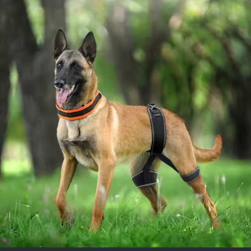 Dog Hip Orthotics Brace