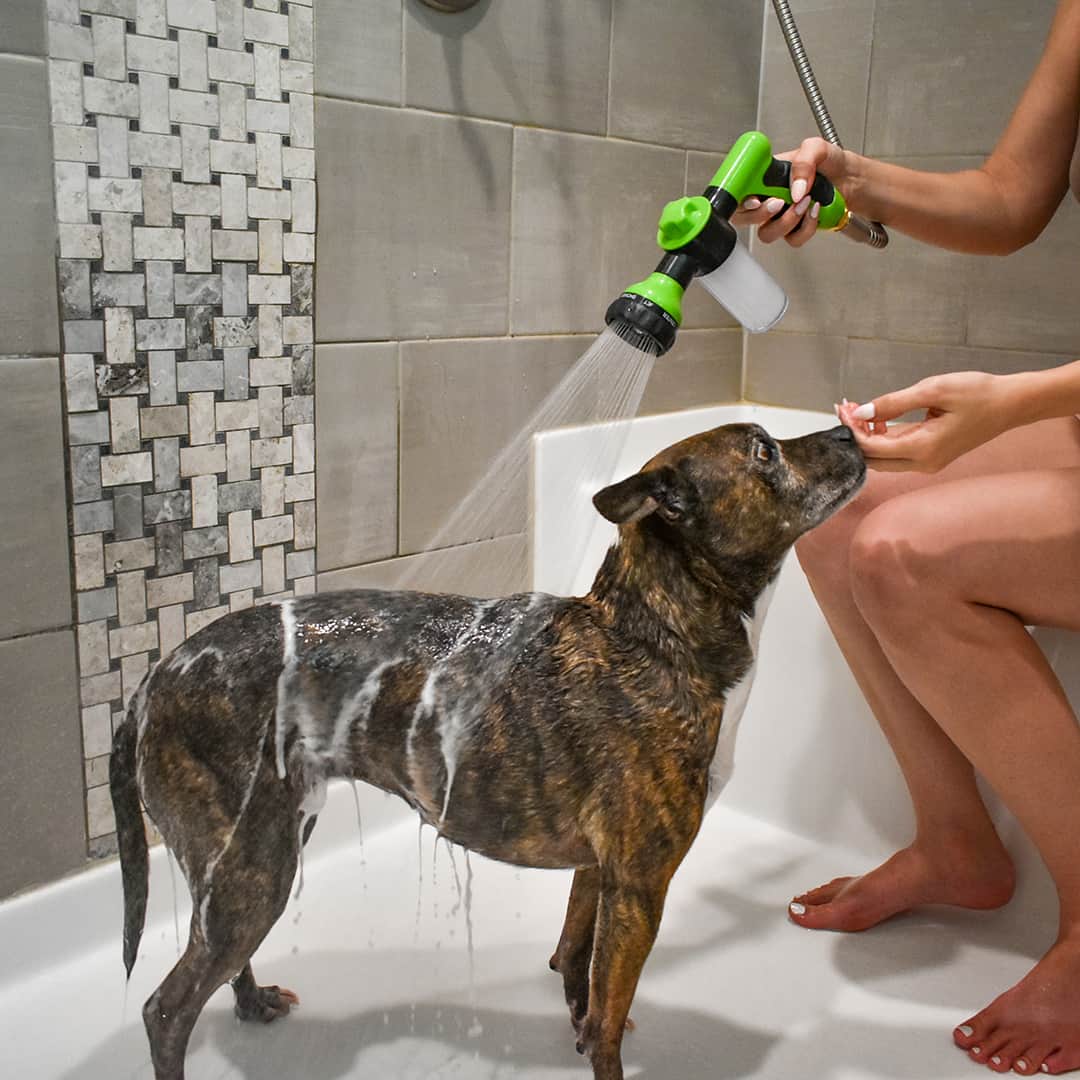 Halopet Pup Jet Dog Wash Hose Nozzle Foam Sprayer Dog Horse Sprayer Wash  Hose Attachment Soap Dispenser Bottle Nozzle Sprayer Dog Bathing Sprayer  for