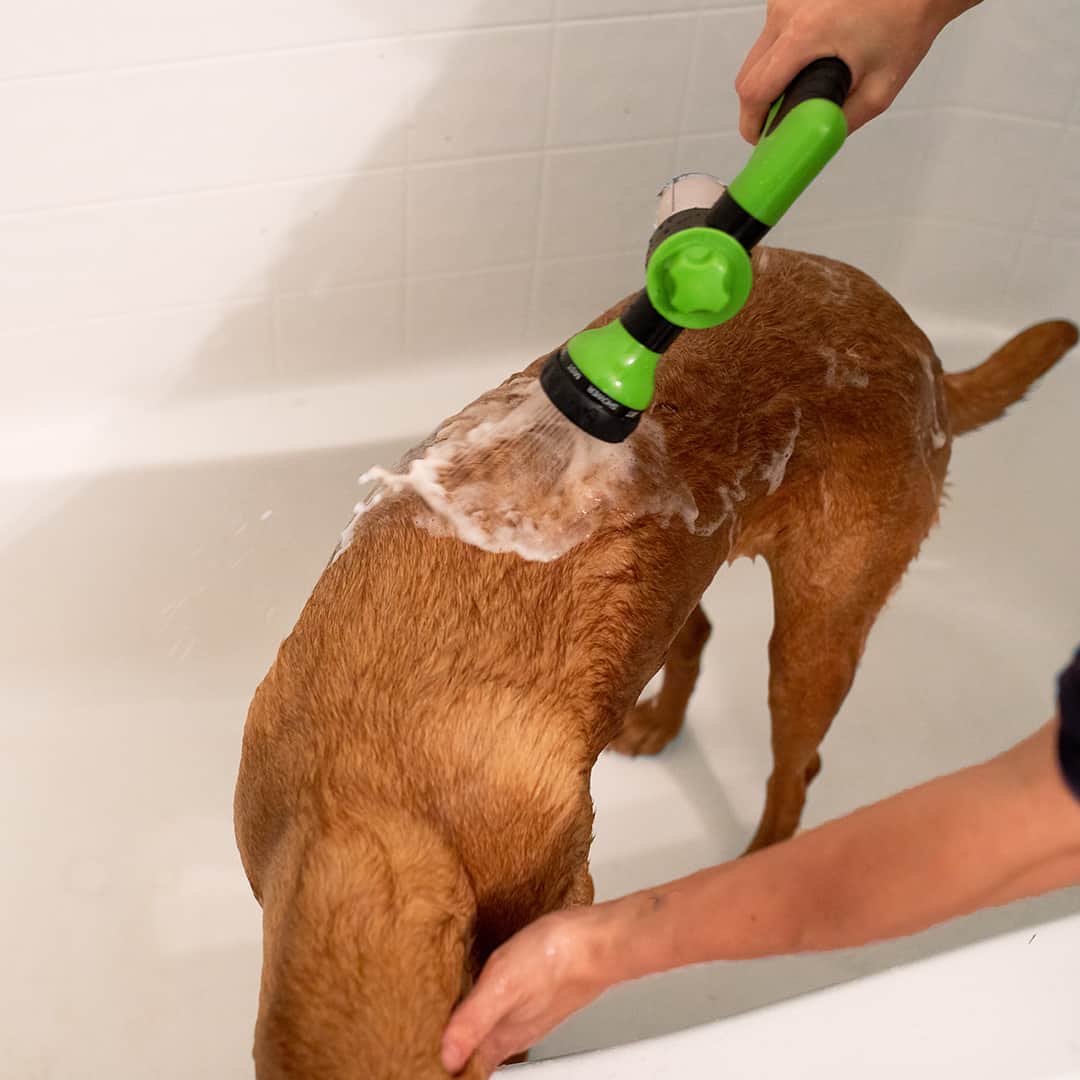 FurBlaster - Pet Bathing Tool Hose Attachment & Soap Dispenser Bottle –  Pico's Place